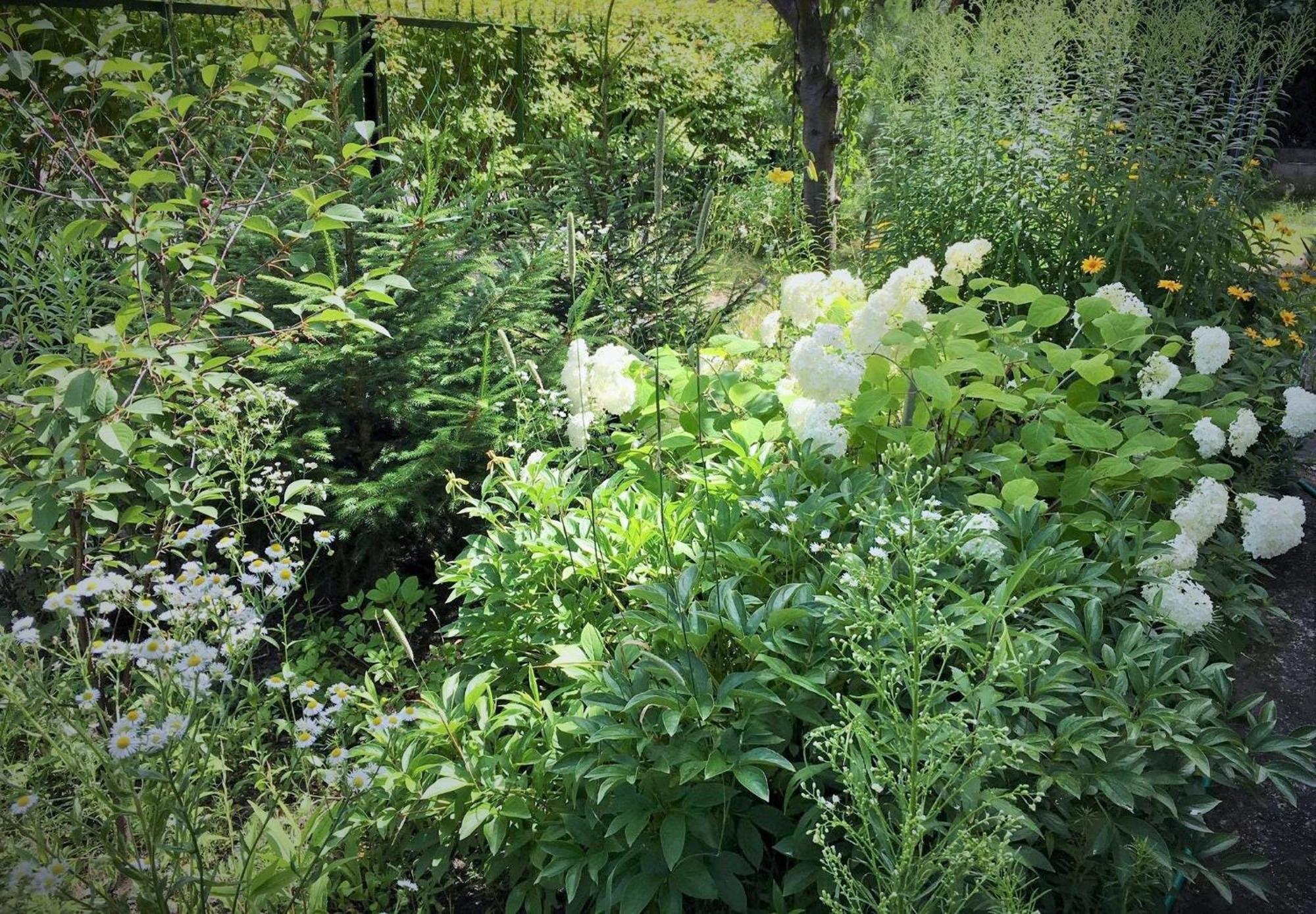 Butas Garden Relax *